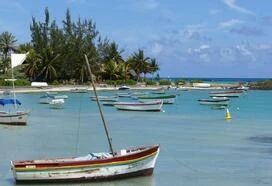 Driving Forward: Mauritius' Thriving Market for Cars, Boats, and Motorbikes
