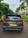 Vehicle Rental Car Rental 3||2219