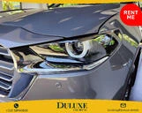 Vehicle Rental Car Rental 3||29525
