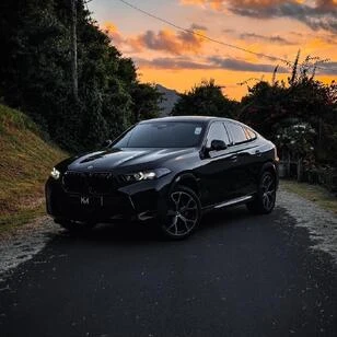 2025 BMW X6