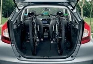 Vehicle Rental Car Rental 5||2474