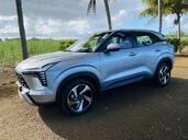 Vehicle Rental Car Rental 2||31135