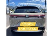 Vehicle Rental Car Rental 3||2889