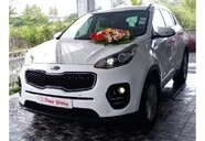 Vehicle Rental Car Rental 1||5492