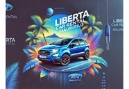 Vehicle Rental Car Rental 3||5533