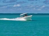 Boats Powerboat 4||7407