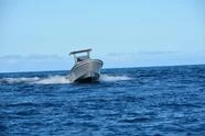 Boats Powerboat 2||7457