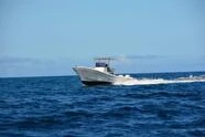 Boats Powerboat 1||7456