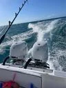 Boats Powerboat 3||7475