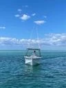 Boats Powerboat 2||7477