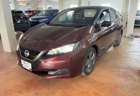 Nissan leaf  2021