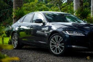 Jaguar XF 3||11106
