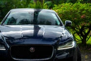 Jaguar XF 2||11105