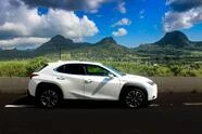 Lexus UX 4||11481