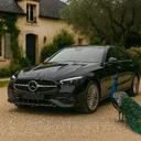 Mercedes-Benz C-Class 1||11495