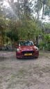 Vehicle Rental Car Rental 1||11238