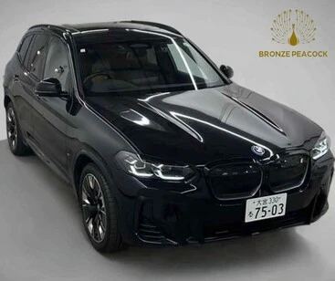 BMW IX3 M Sport