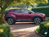 Toyota Yaris Cross 3||19256