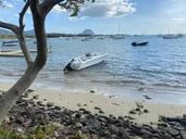 Boats Powerboat 4||25181