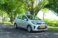 Vehicle Rental Car Rental 1||31165