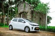 Vehicle Rental Car Rental 2||31169