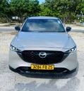 Vehicle Rental Car Rental 2||31174