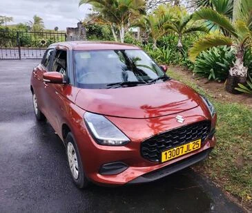 Vehicle Rental Car Rental 1||35607
