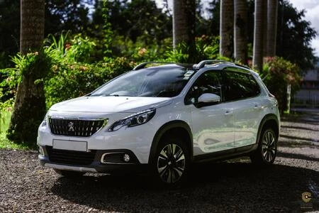 Peugeot 2008 1||37641