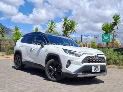 Toyota RAV4 1||39201